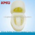 Made of domestic high quality silicon rubber dental Mould model